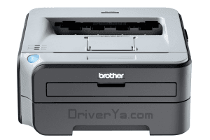 Driver Epson Hl 2140 For Windows Download Driver Epson Hl 2140 For Windows Download